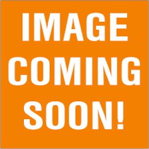 Peach Open Rose Bush x11  (Lot of 1) SALE ITEM
